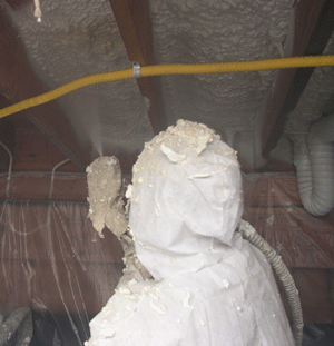 Vancouver BC crawl space insulation